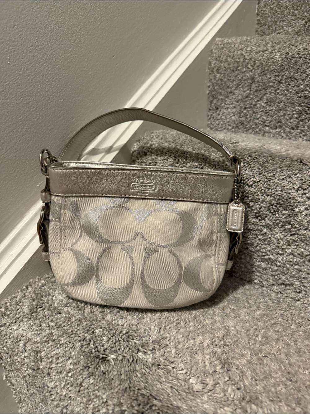 Coach Signature Zoe Mini Canvas Hobo Bag